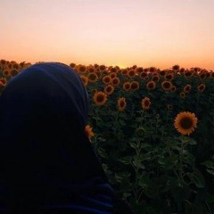 Lina Khaled