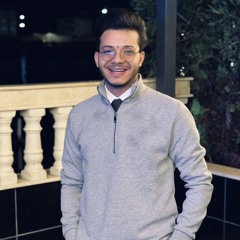 ahmedelbakry