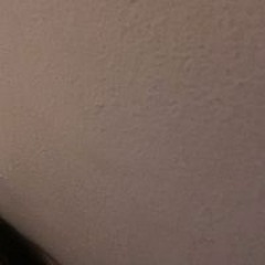 Alexis Macro