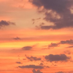 Xerax_RVX🌵🎢🎠