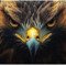 EAGLE-KILLER