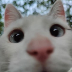 Lucy S