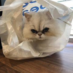 Jack Cobb and the Detective Agency