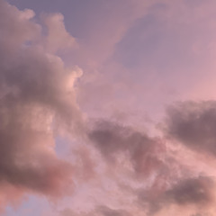 Charlotte Bermingham