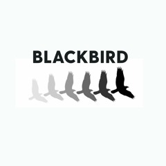 Blackbird