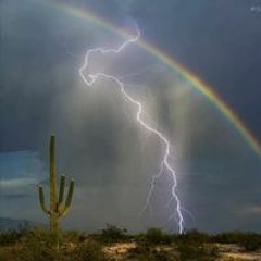 David Macias Rodriguez