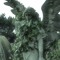 paporotn1kk_pan1c