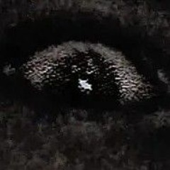 Broodje_420