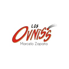 Los Ovnis Orquesta - Marcelo Zapata