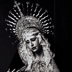 𝔰𝔥𝔯𝔬𝔲𝔡𝔢𝔡 𝔦𝔫 𝔥𝔢𝔯 𝔰𝔦𝔩𝔢𝔫𝔠𝔢