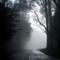 Somber