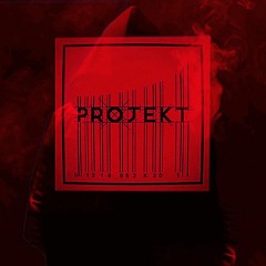 PROJEKT