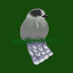 GrayJay