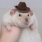 Cowboy Rat