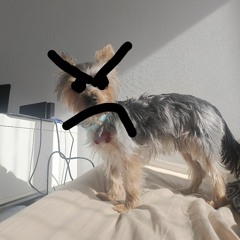 o_-