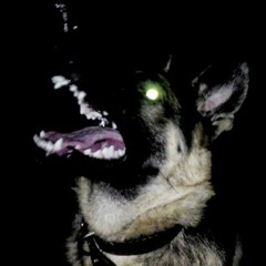 Hounds