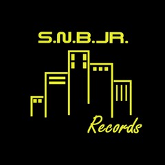 S.N.B.JR. Records, LLC
