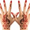 noor