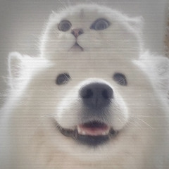 3moёt