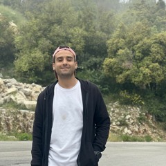 mohamed hamdy