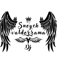 sneyck valderrama dj
