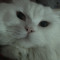 miuthui~~