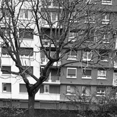 tu claque des dents nan (alt beats) xd.