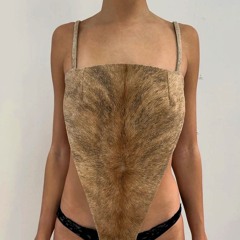 Merry Christmas and a Happy New Year!