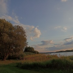 Pia-Sophie Schindler