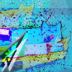 dracxz