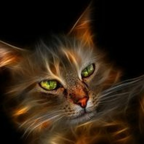 Hide Not Your Power (Nikko Culture Remix)