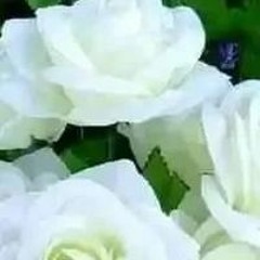 ফেমিলি চটি গল্প