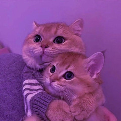 ⠀ꪑ𝒾ꪶꪖ