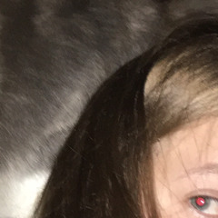 backgroud