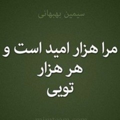 Shadi