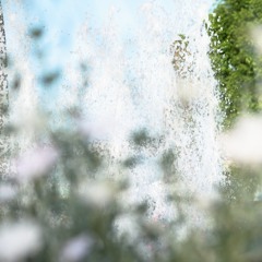 Sounds from Wednesday morning