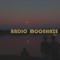 Radio Moonhaze