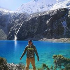 GerSon ZamirNet