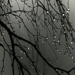 Maryam Mughal
