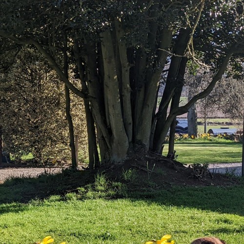 Scissor Sisters - Invisible Light (Boys Noize Remix)