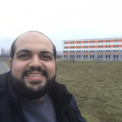 Safeyeldin Abdo Mohsen