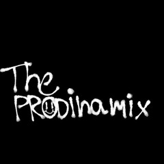 The Prodinamix