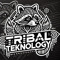 Tribal Teknology (TBR6TEM)