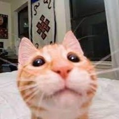 Вероніка Яневич