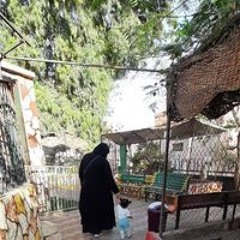 هبة أحمد