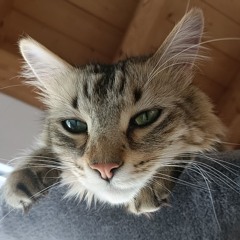 Ella