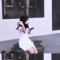 thuyftrang