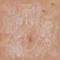 caryotype0000