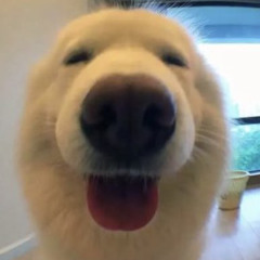 Jegalmuyeol
