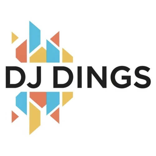 DJ DINGS — artist photo